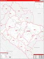 Laurens, Sc Carrier Route Wall Map