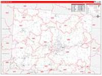 Licking, Oh Carrier Route Wall Map