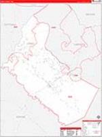 Long, Ga Carrier Route Wall Map