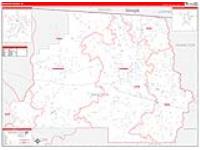 Madison, Fl Carrier Route Wall Map