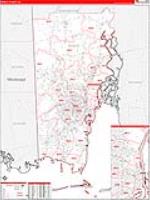 Mobile, Al Carrier Route Wall Map