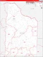 Nevada, Ar Carrier Route Wall Map