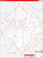 Newton, Ga Carrier Route Wall Map