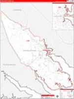 Pasquotank, Nc Carrier Route Wall Map