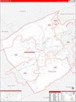 Pulaski, Va Carrier Route Wall Map