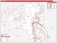 Putnam, Fl Carrier Route Wall Map