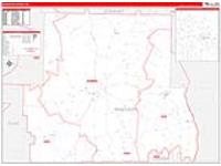 Randolph, Ga Carrier Route Wall Map