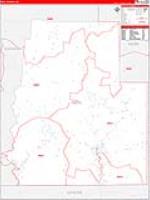 Real, Tx Carrier Route Wall Map