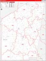 Ripley, In Carrier Route Wall Map
