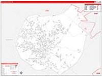 Staunton, Va Carrier Route Wall Map
