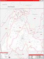 Walker, Ga Carrier Route Wall Map