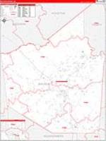 Walker, Tx Carrier Route Wall Map