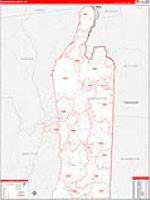 Washington, Ny Carrier Route Wall Map