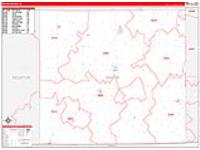 Wayne, Ia Carrier Route Wall Map