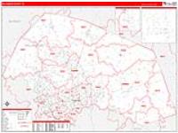 Williamson, Tx Carrier Route Wall Map