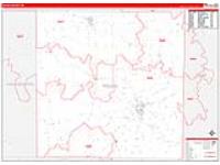 Young, Tx Carrier Route Wall Map