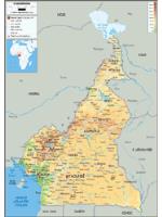 Cameroon Physical Wall Map