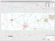 Geneva County Wall Map Premium Style 2009