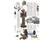 Alaska 1975 Wall Map