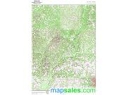 Dale County Wall Map Topographic 2009