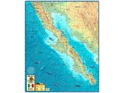 Baja Wall Map