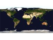 World Physical Wall Map from Newport Geographic