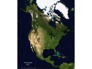 Newport Geographic Wall Maps