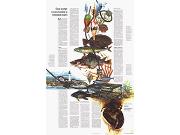 Maine 1975 Wall Map