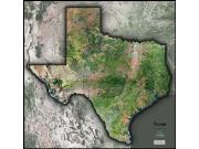 Texas Satellite Wall Map