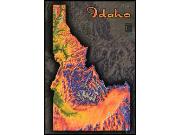 Idaho Topo Wall Map