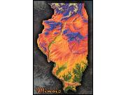 Illinois Topo Wall Map