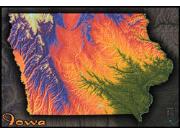 Iowa Topo Wall Map