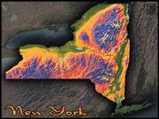 New York Topo Wall Map