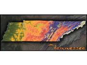 Tennessee Topo Wall Map
