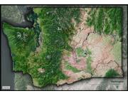 Washington Satellite Wall Map