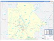 Tuscaloosa County, AL Wall Map Zip Code Basic Style 2022