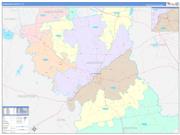 Anderson County, TX Wall Map Color Cast Style 2022
