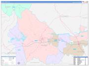 Burke County, NC Wall Map Color Cast Style 2022