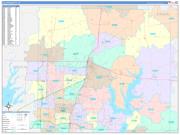 Collin County, TX Wall Map Color Cast Style 2022