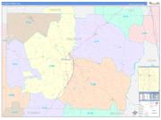 Colquitt County, GA Wall Map Color Cast Style 2022