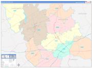 Darlington County, SC Wall Map Color Cast Style 2023