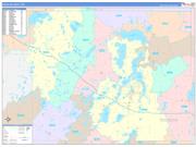 Douglas County, MN Wall Map Color Cast Style 2022
