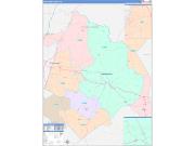 Edgecombe County, NC Wall Map Color Cast Style 2023