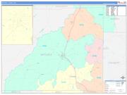 Mitchell County, GA Wall Map Color Cast Style 2023