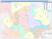 Navarro County, TX Wall Map Color Cast Style 2022
