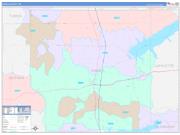 Panola County, MS Wall Map Color Cast Style 2022
