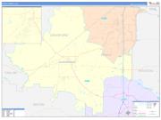 Peach County, GA Wall Map Color Cast Style 2022