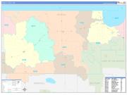Roseau County, MN Wall Map Color Cast Style 2022