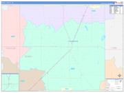 Terry County, TX Wall Map Color Cast Style 2022