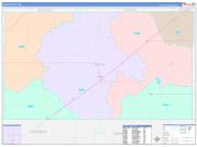 Texas County, OK Wall Map Color Cast Style 2023